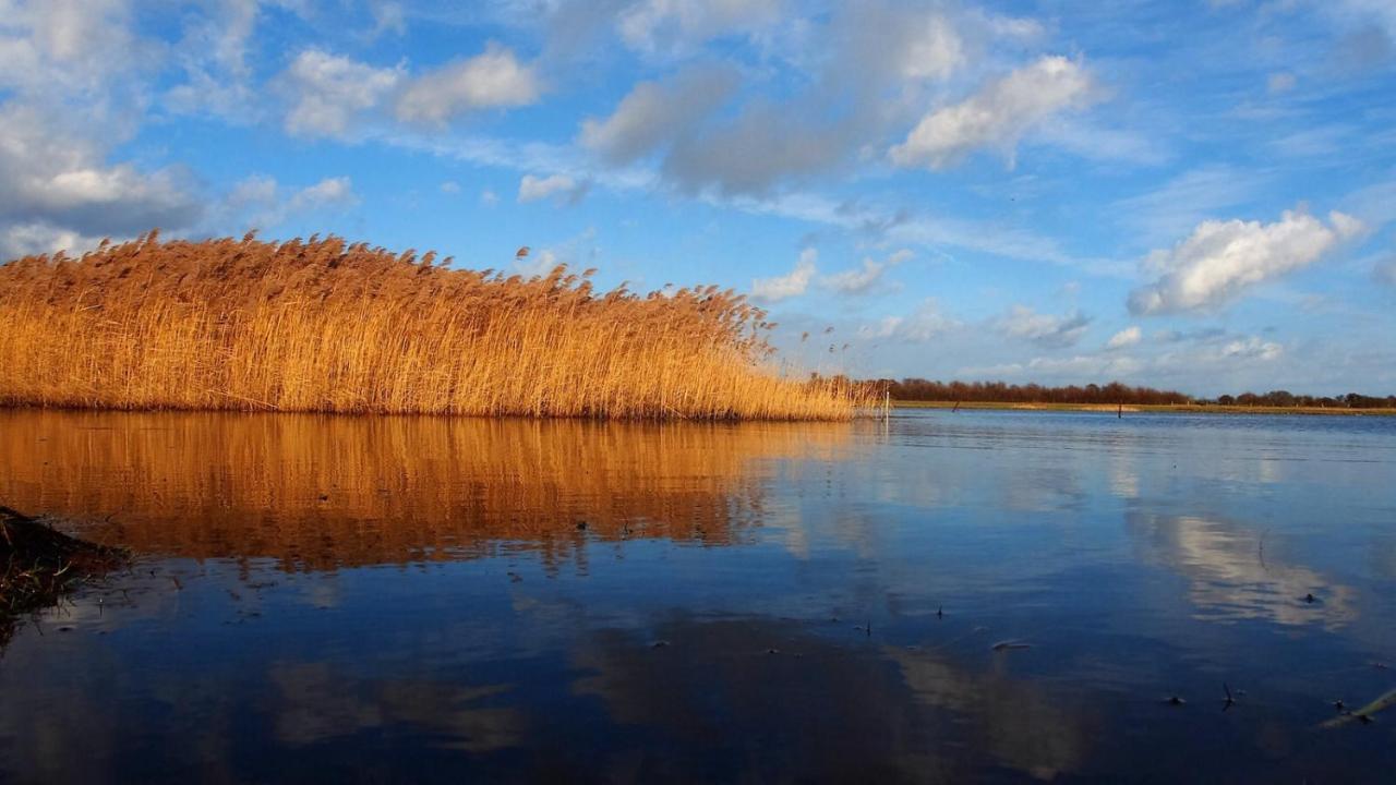 צירוב Emilias Hues, Reethaus In Der Bucht Von Wismar מראה חיצוני תמונה