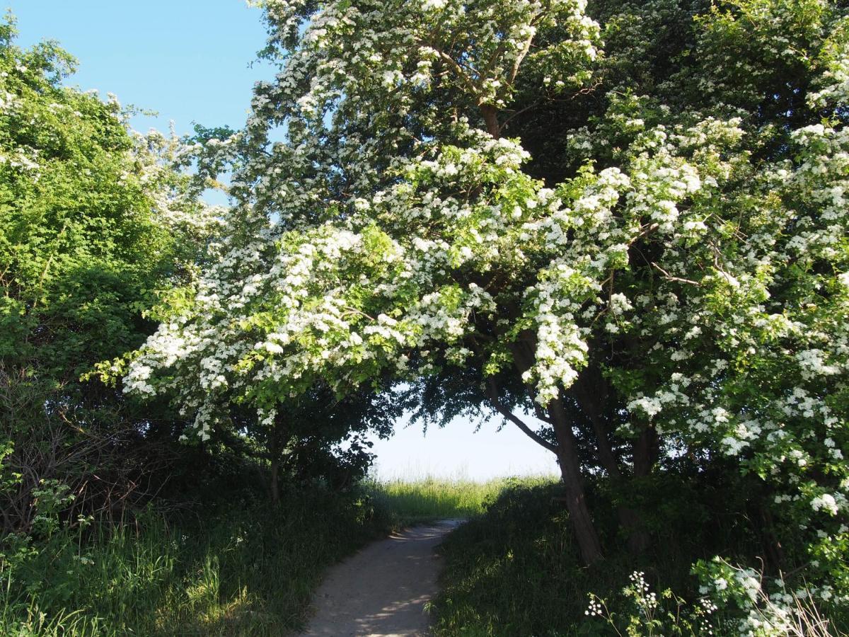 צירוב Emilias Hues, Reethaus In Der Bucht Von Wismar מראה חיצוני תמונה