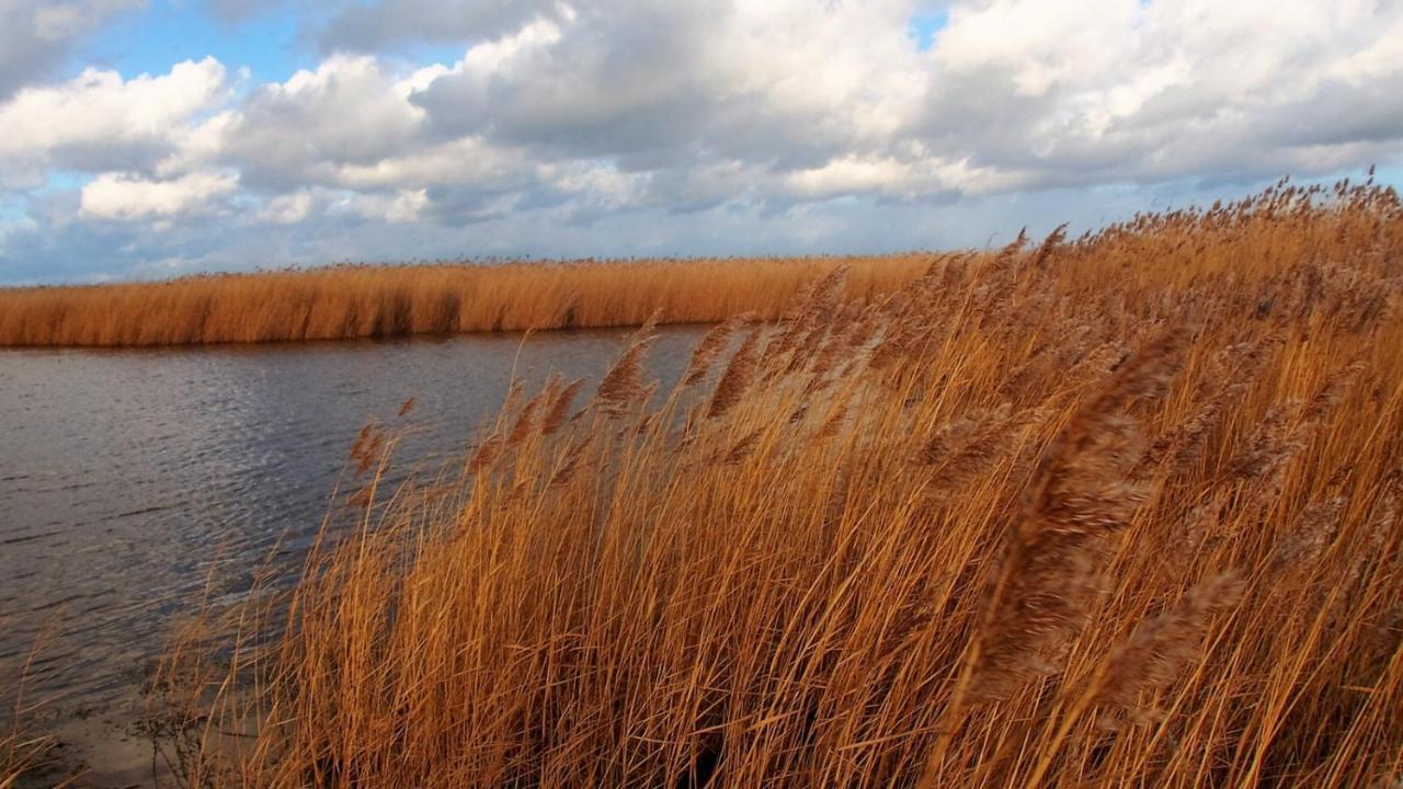 צירוב Emilias Hues, Reethaus In Der Bucht Von Wismar מראה חיצוני תמונה