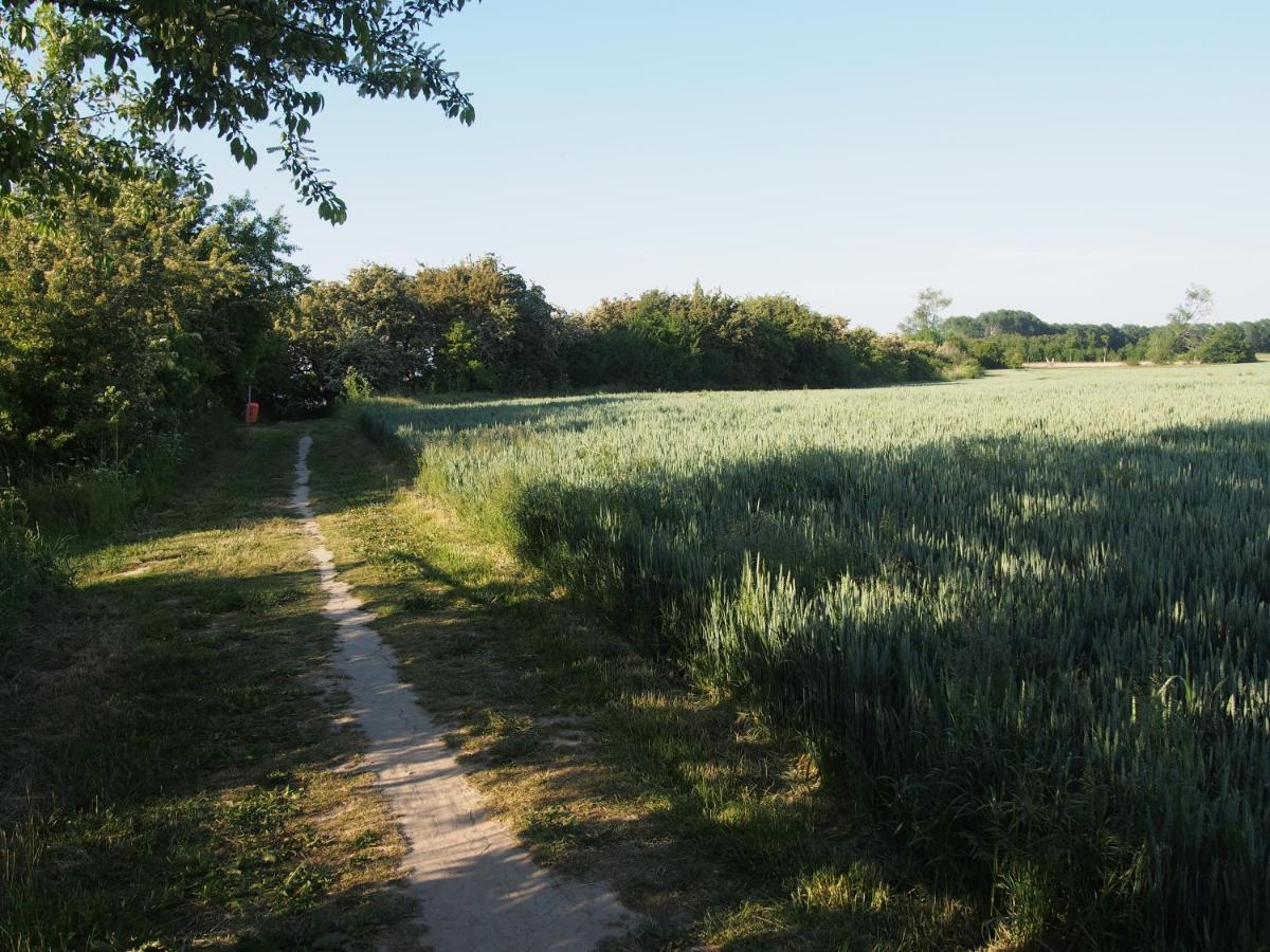 צירוב Emilias Hues, Reethaus In Der Bucht Von Wismar מראה חיצוני תמונה